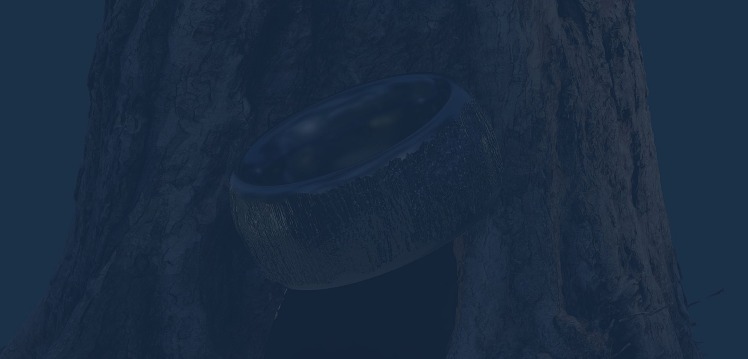 A textured jewellery ring displayed against the surface of a tree trunk, showing the natural bark pattern captured using the EinScan Rigil 3D scanner.